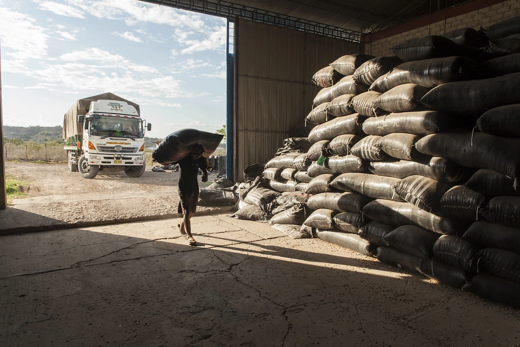 202412310255-van-chuyen-ca-phe-trach-nhiem-3